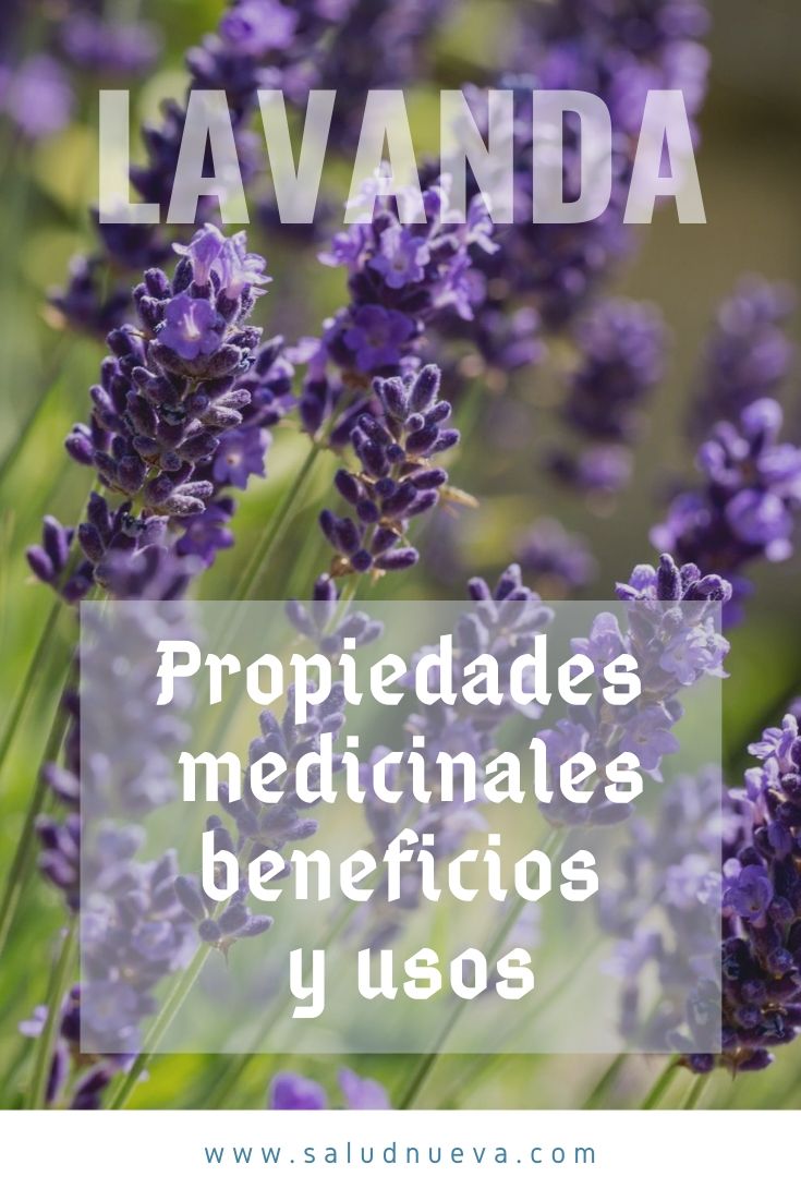 Plantas Medicinales Archivos